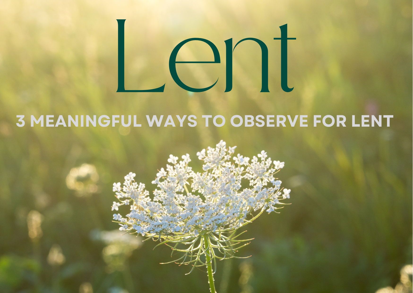 Image of spring overlay with the title. Lent, 3 meaningful ways to observe for Lent.